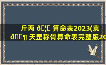 斤两 🦈 算命表2023(袁 🐶 天罡称骨算命表完整版2023)